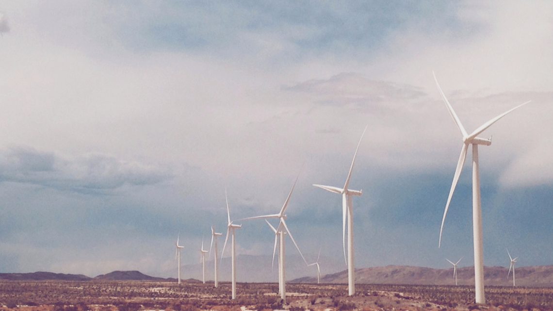 Que faire pour adopter une démarche écologique ?